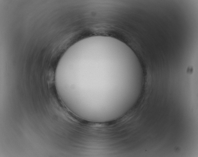 X0000110720081200906121257