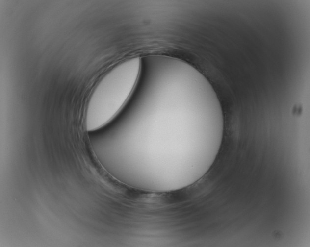 X0000110720082200906121257