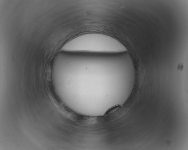 X0000110720083200906121257