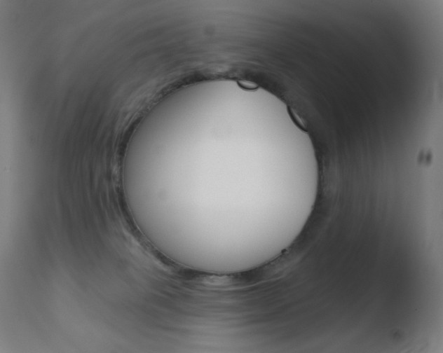 X0000110720085200906121257