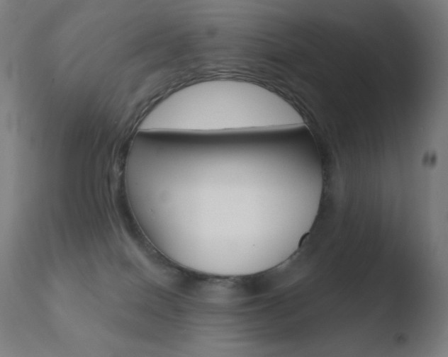 X0000110720086200906121257