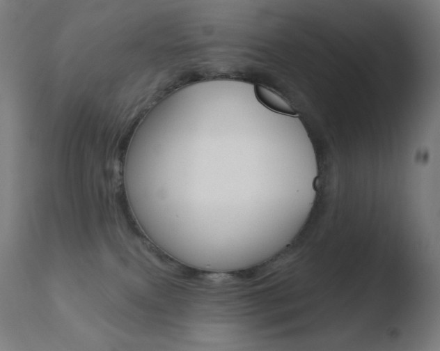 X0000110720087200906121257