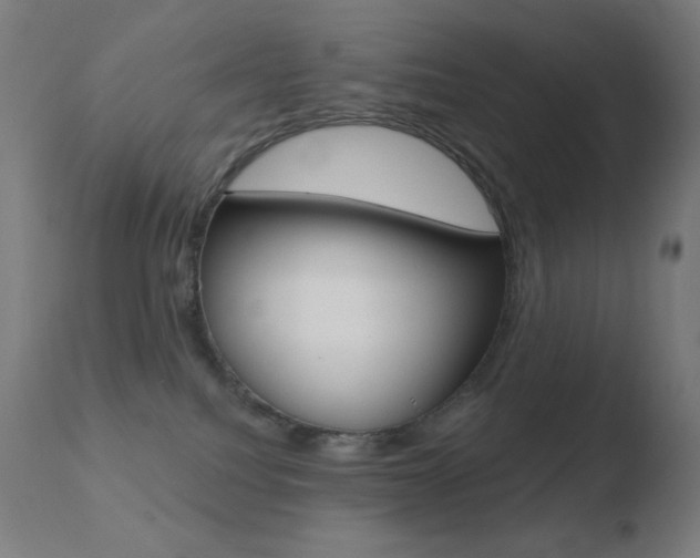 X0000110720088200906121257