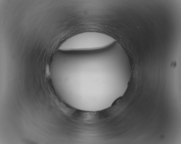 X0000110720089200906121257