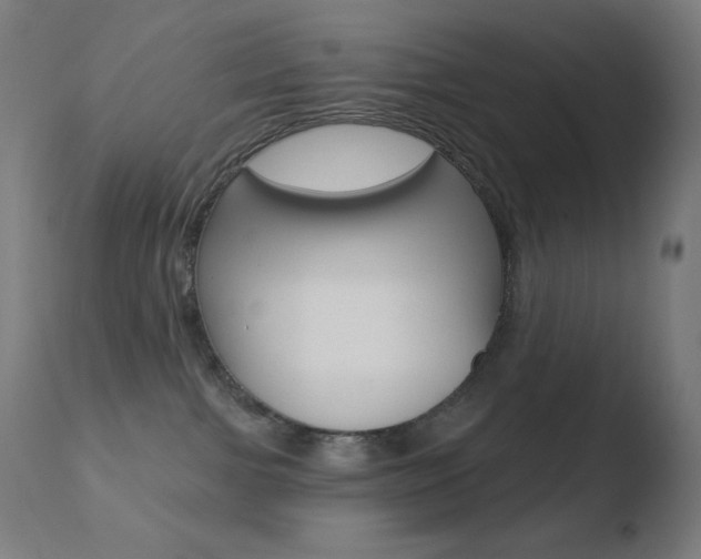 X0000110720091200906121257