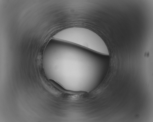 X0000110720092200906121257
