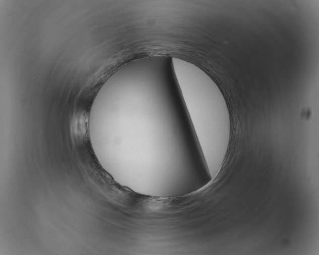 X0000110720094200906121257