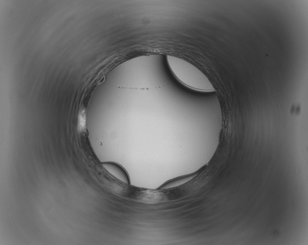 X0000110720095200906121257