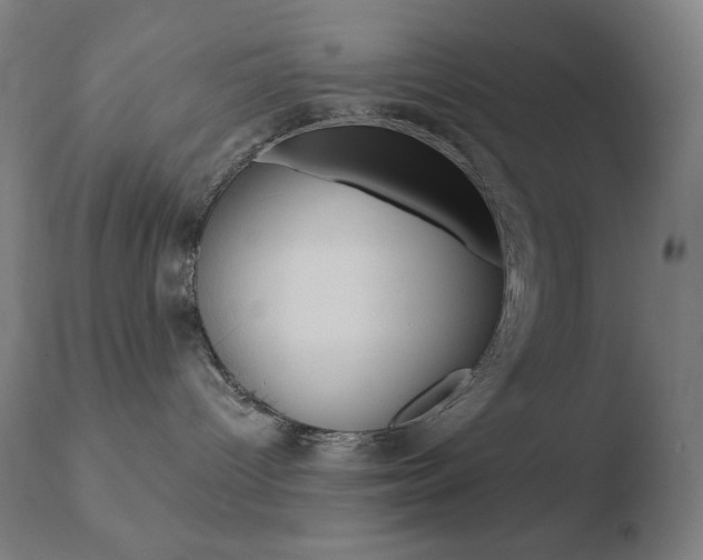 X0000110720096200906121257