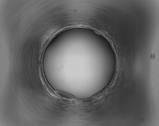 X0000110720097200906121257