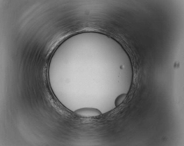 X0000110720098200906121257