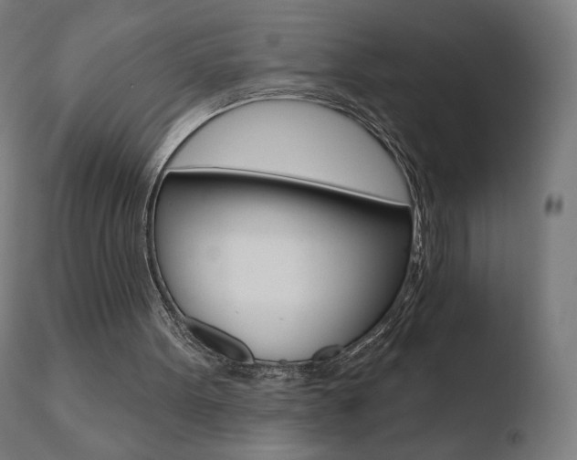 X0000110720099200906121257
