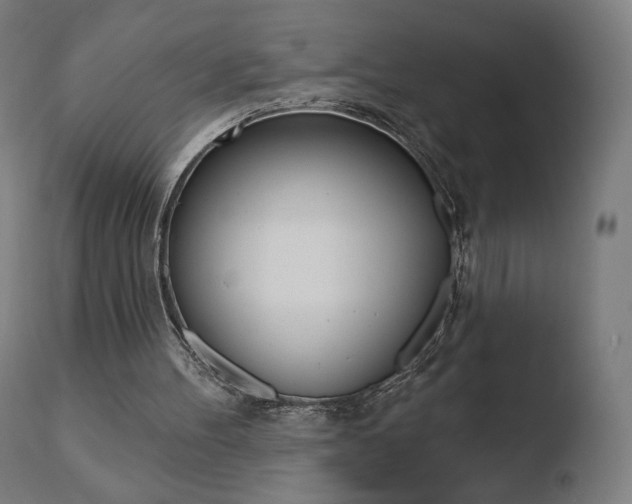 X0000110720100200906121257
