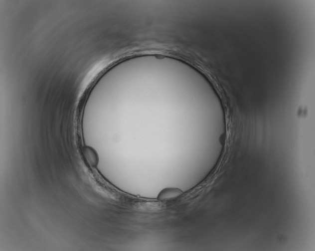 X0000110720102200906121257