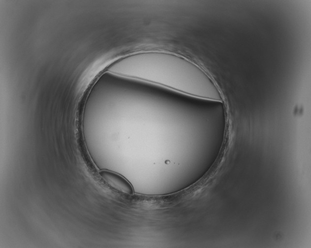X0000110720103200906121257