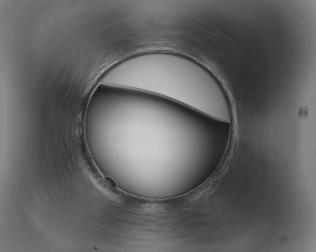 X0000110720105200906121257