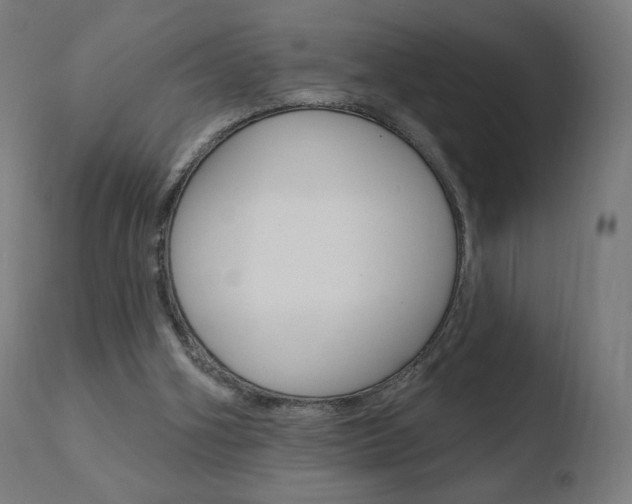 X0000110720106200906121257