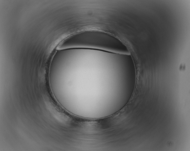 X0000110720108200906121257