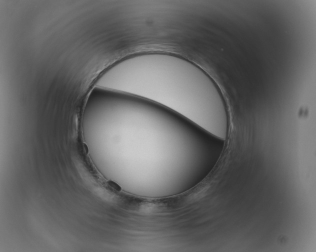 X0000110720109200906121257