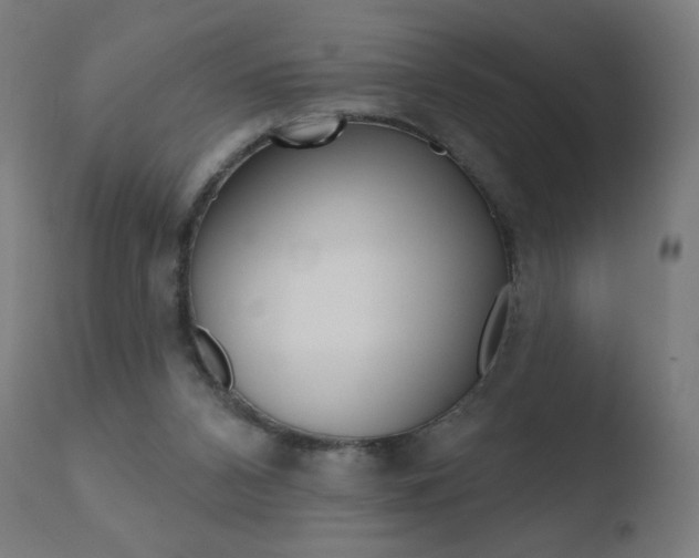 X0000110720112200906121257