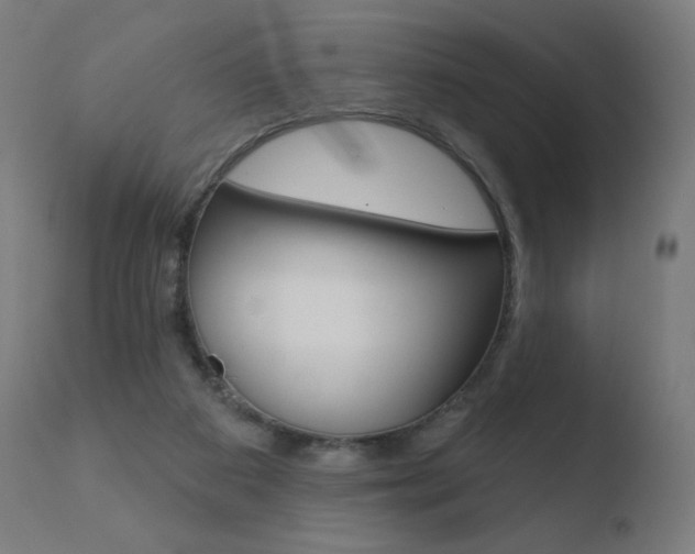 X0000110720113200906121257