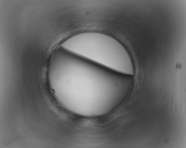 X0000110720115200906121256