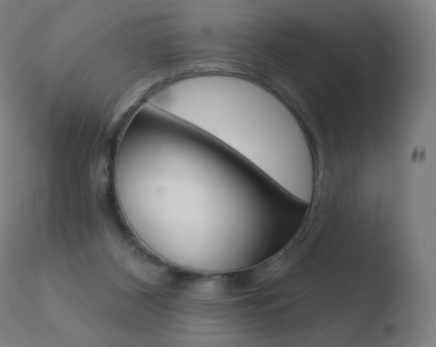 X0000110720116200906121256