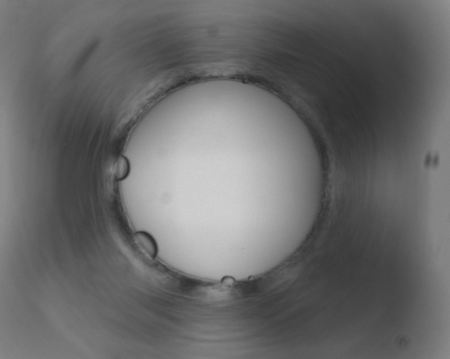 X0000110720118200906121256