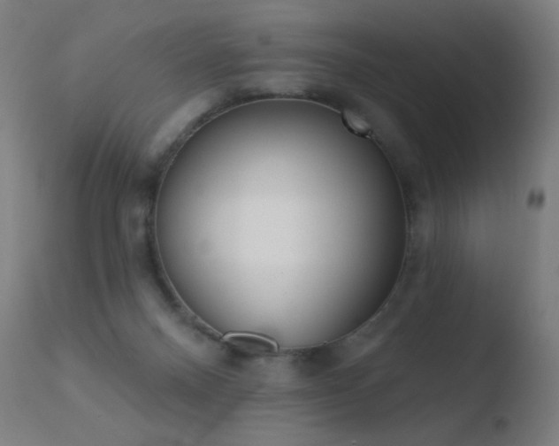 X0000110720120200906121256