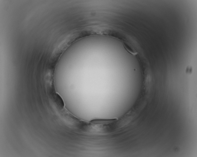 X0000110720121200906121256