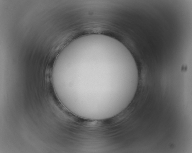 X0000110720122200906121256