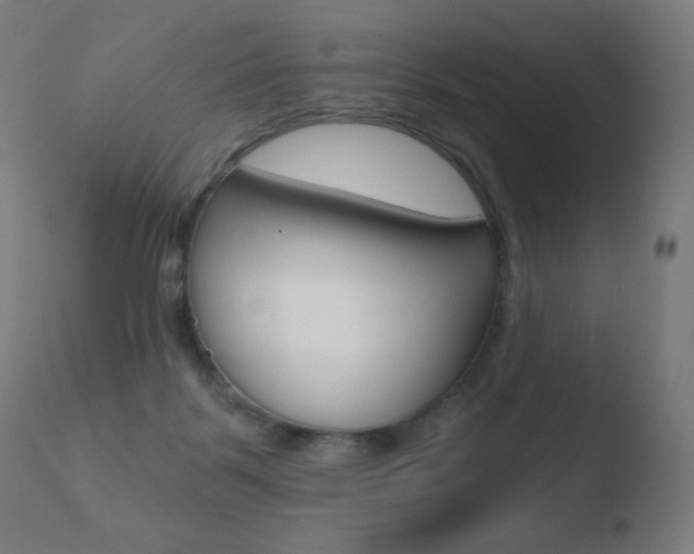 X0000110720123200906121256