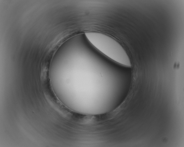 X0000110720124200906121256