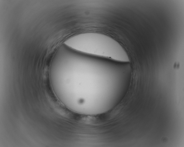 X0000110720125200906121256