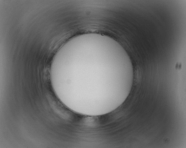 X0000110720126200906121256