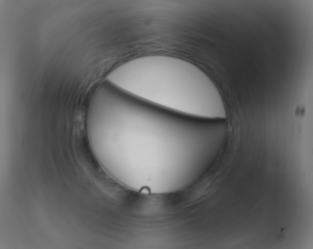 X0000110720127200906121256