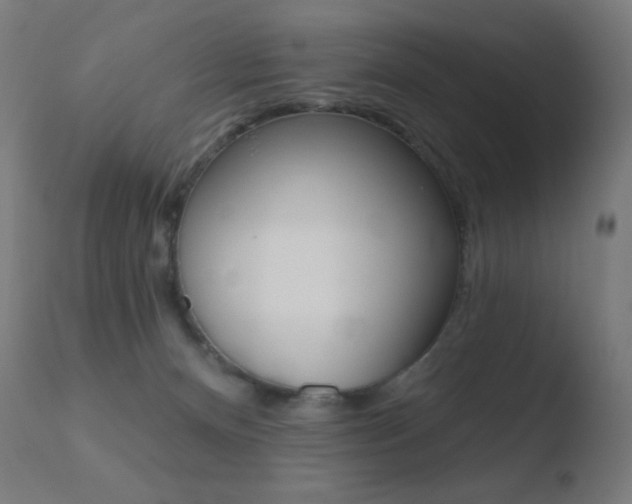 X0000110720128200906121256