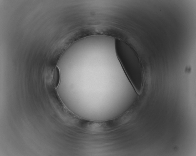 X0000110720129200906121256