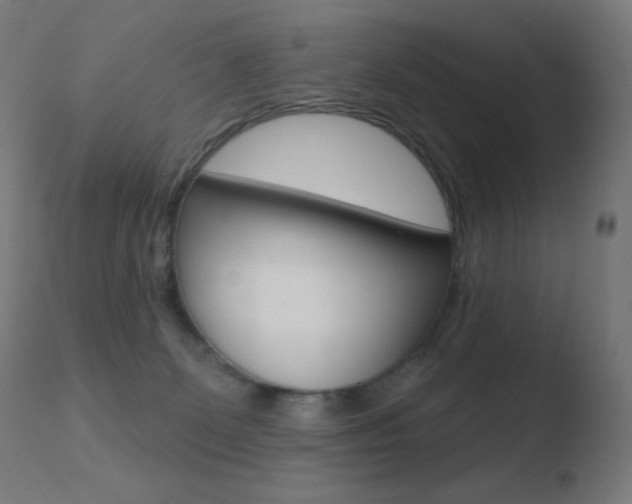X0000110720131200906121256