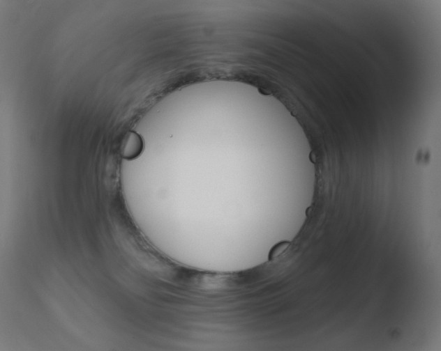 X0000110720134200906121256