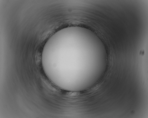 X0000110720135200906121256