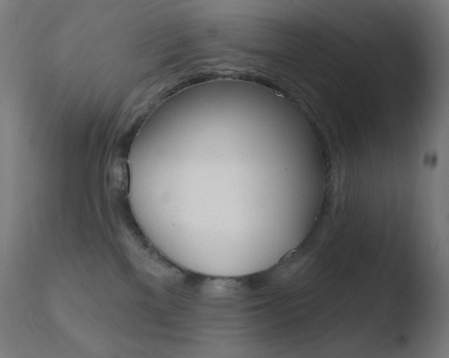 X0000110720137200906121256