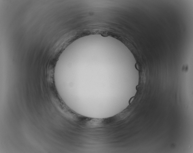 X0000110720138200906121256