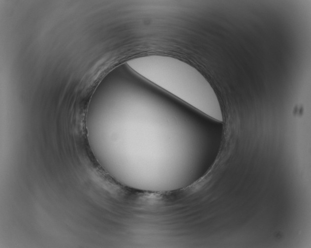 X0000110720140200906121256