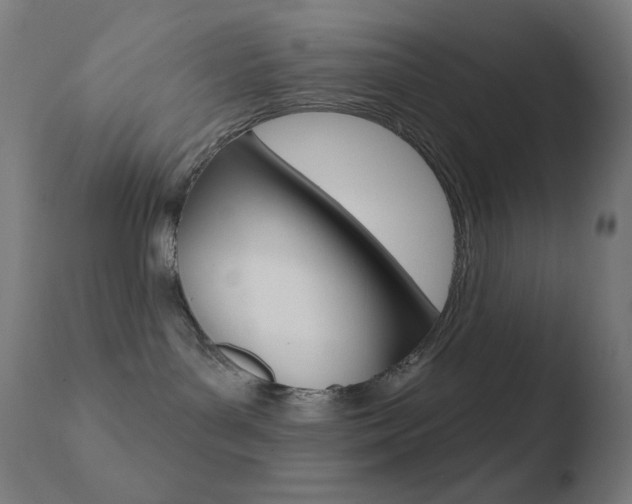 X0000110720143200906121256