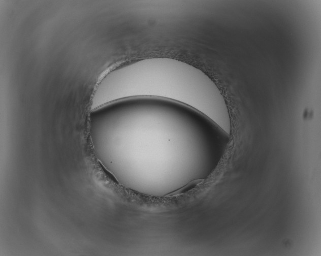 X0000110720144200906121256