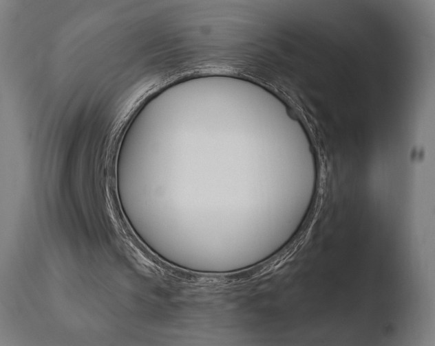 X0000110720145200906121255