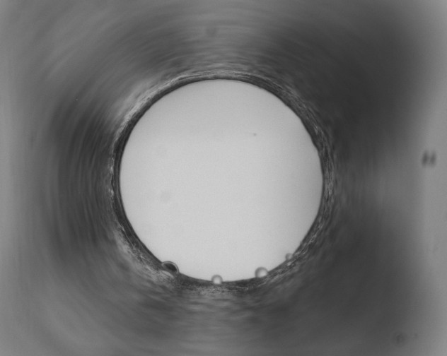 X0000110720146200906121255