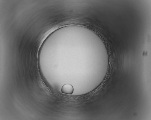 X0000110720148200906121255