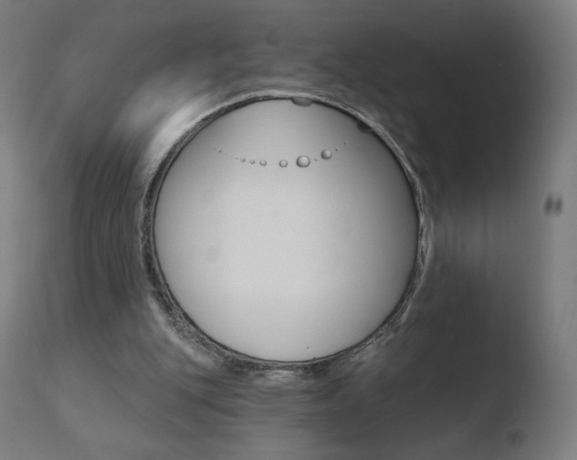 X0000110720151200906121255